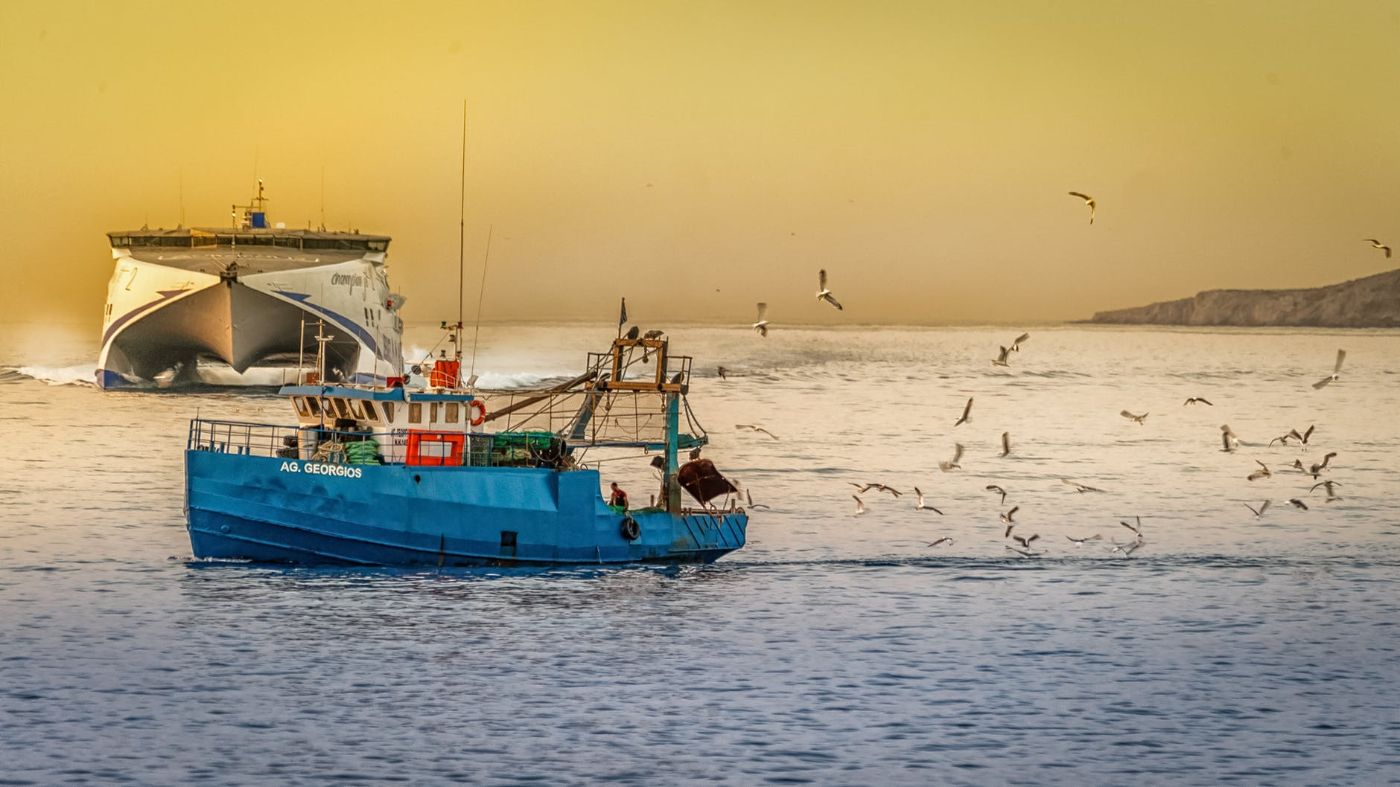 sector marítimo pesquero